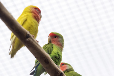 Similar image 13291844