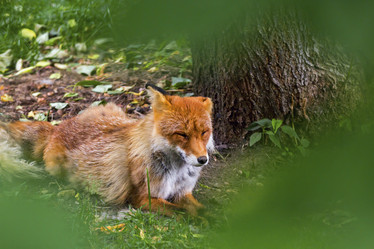 Similar image 13291845