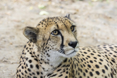 Similar image 13291846