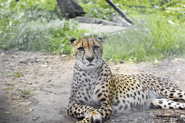 Similar image 13291847