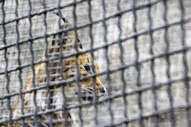 Similar image 13291851