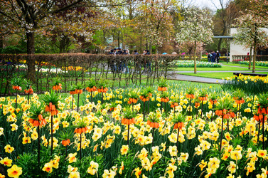 Similar image 13300275