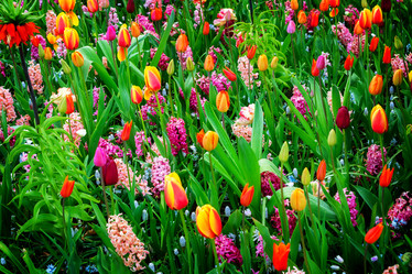 Similar image 13300237