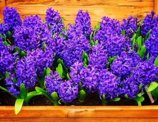 Similar image 13300223