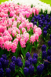 Similar image 13300229