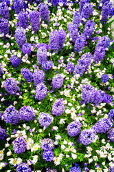 Similar image 13300253