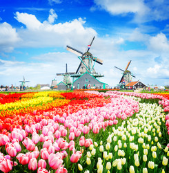 Similar image 13300284