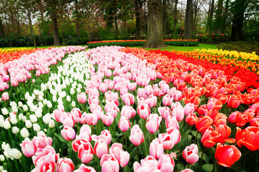 Similar image 13300286