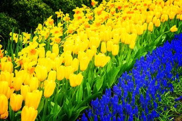 Similar image 13300277