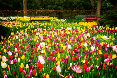 Similar image 13300242