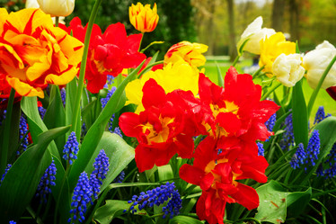 Similar image 13300259