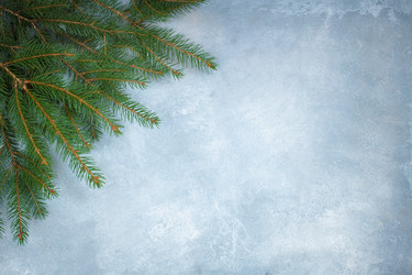 Similar image 13297748