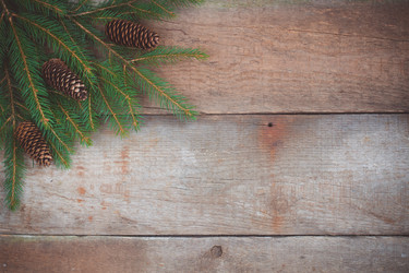 Similar image 13297770