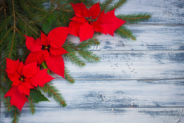 Similar image 13297790