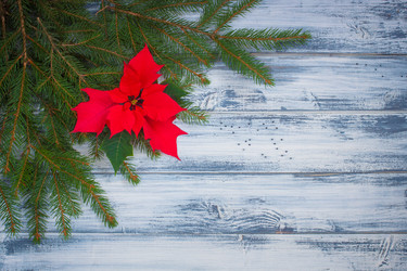 Similar image 13297791