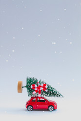 Similar image 13297801