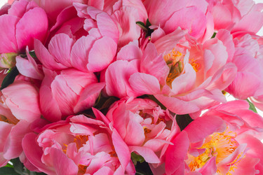 Similar image 13300269