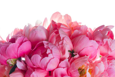 Similar image 13300271