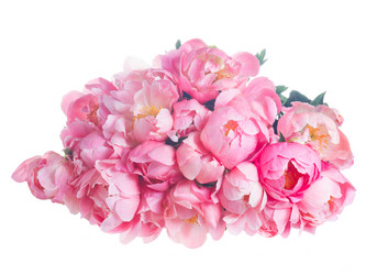 Similar image 13300290