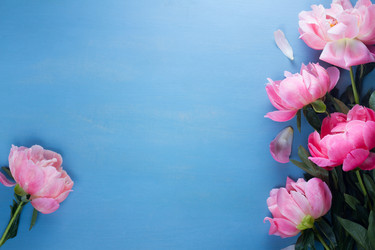 Similar image 13300298