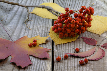 Similar image 13323227