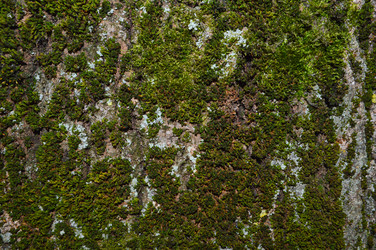 Similar image 13303660