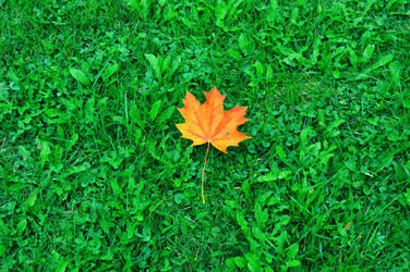 Similar image 13303661