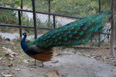 Similar image 13294296