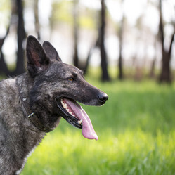 Similar image 13294313