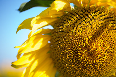 Similar image 13294314