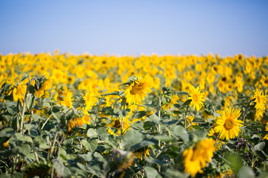 Similar image 13294315