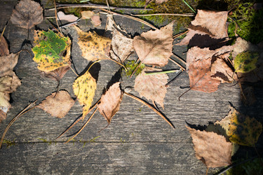 Similar image 13294316