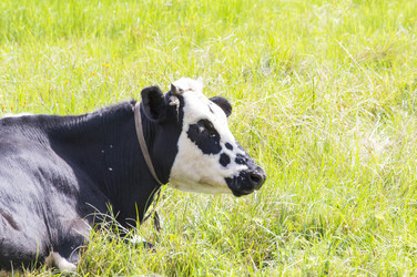 Similar image 13293935