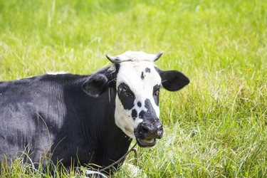 Similar image 13293936