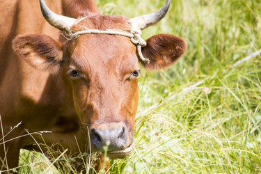 Similar image 13293937