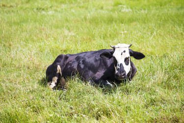 Similar image 13293946