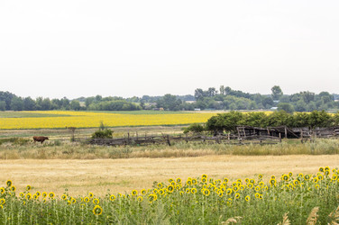 Similar image 13293968