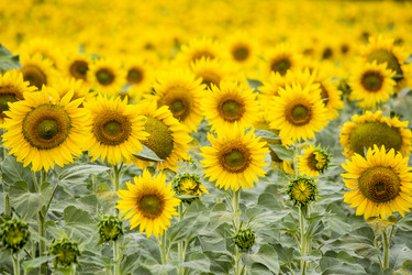 Similar image 13294011