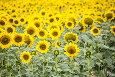 Similar image 13294021