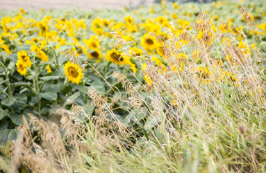 Similar image 13294001