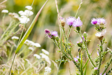 Similar image 13294008