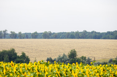 Similar image 13294017