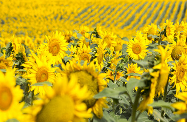 Similar image 13293955