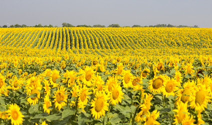 Similar image 13293956