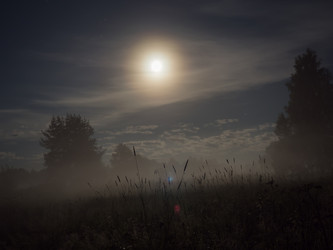 Similar image 13291882