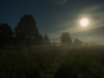 Similar image 13291883