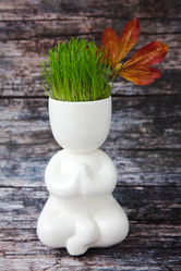 Similar image 13293815