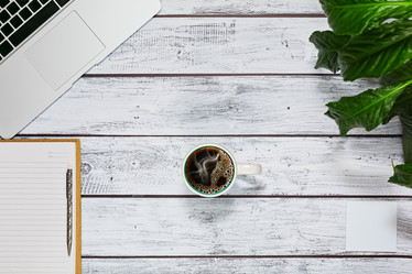 Similar image 13289931