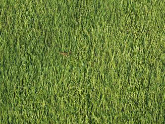 Similar image 13291888