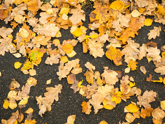 Similar image 13291923